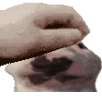 walterpat