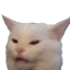 dinnercat