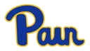 Pain