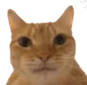 EG_FuckYou