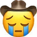 sadcowboy