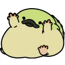 BongoTetranadon