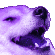 DogKekPurple Discord Emoji