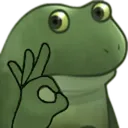 frogk_ok