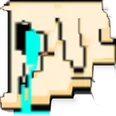 wideminicry