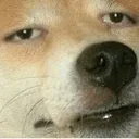 woof