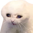 catsad Discord Emoji