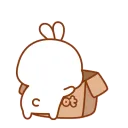 zz_cuteBunCarotBoxNC zz_cuteBunCarotBoxNC