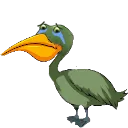 worryPelicanSad