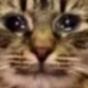 bouttocry Discord Emoji