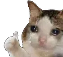 catcryingthumbsup