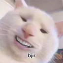bjir Discord emoji