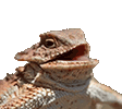 HeHeHe Discord emoji