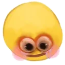 flushe