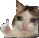 catseho