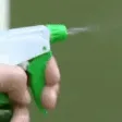 Pchit