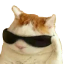 jcoolcat Discord Emoji
