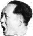 maopog