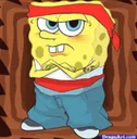 spongedope