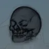 brainlet brainlet