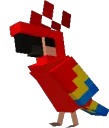 dancinhapapagaio