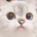 catsideeye Discord Emoji