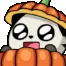 PandaPumpkinSurprise