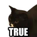 cattrue