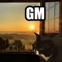 catgm catgm