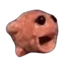 CursedKirbyPog CursedKirbyPog