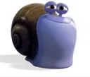 snail