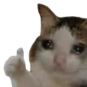 sadcat Discord Emoji