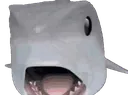 pogahaj