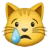 cry_cat