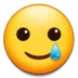 smiling_face_with_tear