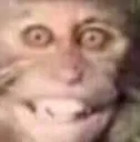 monke
