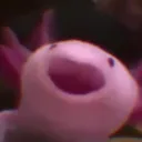 EnstaPOG