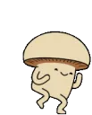 mushyhappy