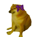 dd dd