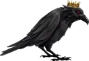 Raven