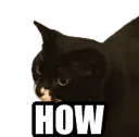cathow