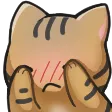 catshy