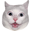cat_head Discord emoji