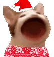 SCbopCHRISTMAS