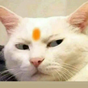 ss_ayyyy Discord emoji