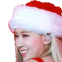 xmasRose
