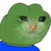 SadCatPepe Discord Emoji