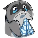 z_sadRaccoon Discord Emoji
