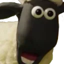 shaun