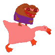 gooserainbow